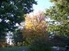 100_1051.JPG