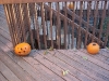 100_1054.JPG