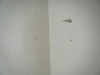 DSCF0331-wr