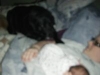 tn_DSCF0527